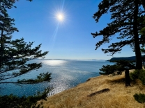 168 Cliffside - SOLD